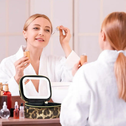Portable Makeup Bag with LED Light & Mirror, Removable Battery-Powered Travel Cosmetic Case, Makeup Organizer Pouch & Box for Women, Makeup Storage Box
